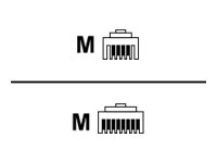 UNIFY connecting cable 6 m MW6/MW8 RJ11/RJ45 silver